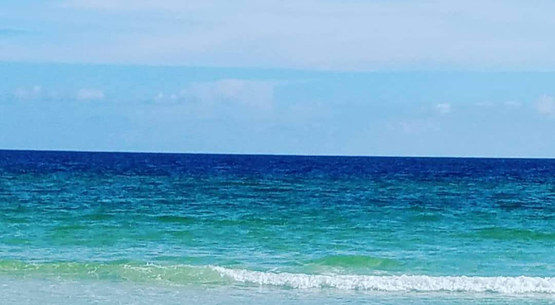 Our team provides professional networking opportunities for your career